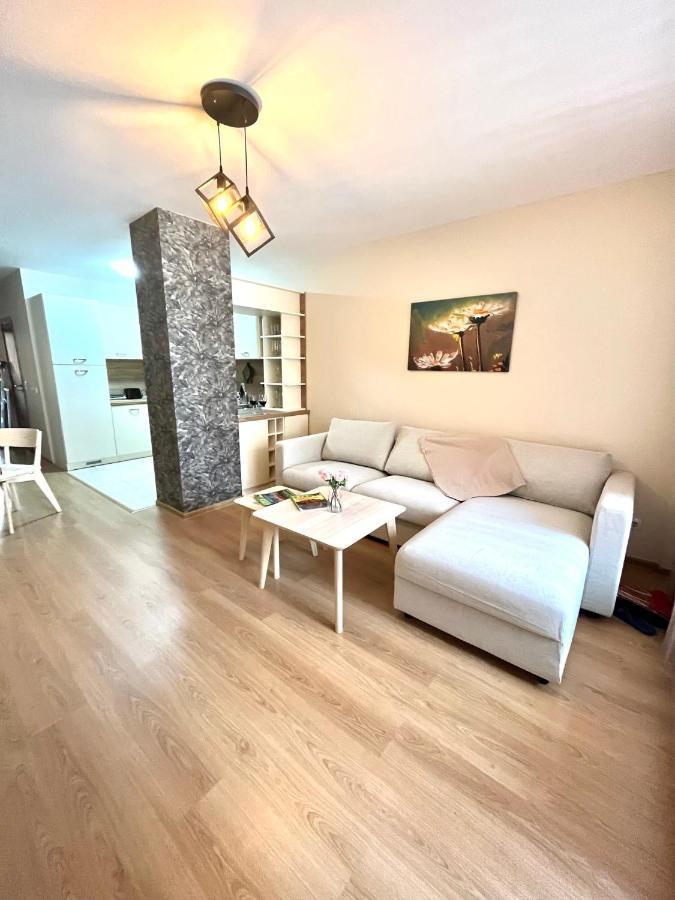Апартамент Ренета Apartment Reneta Велинград Экстерьер фото